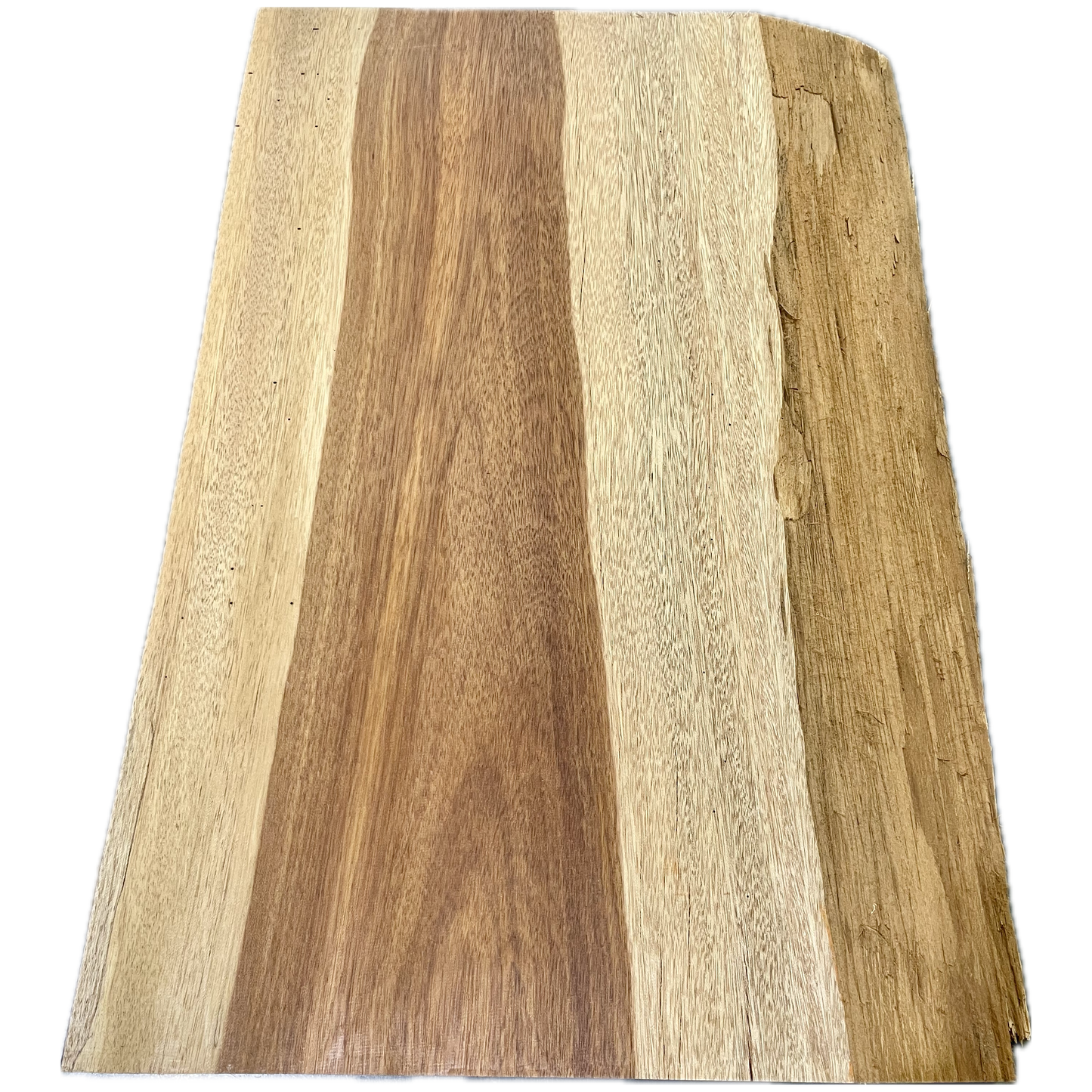 Bloodwood | Live edge slab 1-1/2"x16"x26" (WYSIWYG)