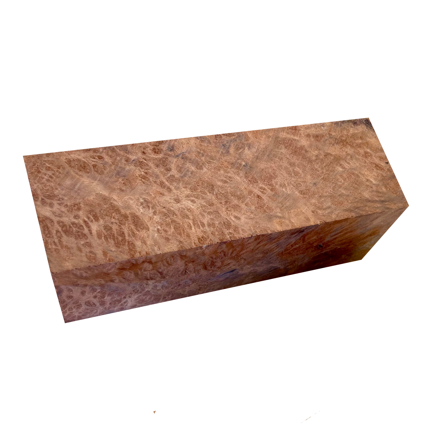 Redwood Burl | Stabilized