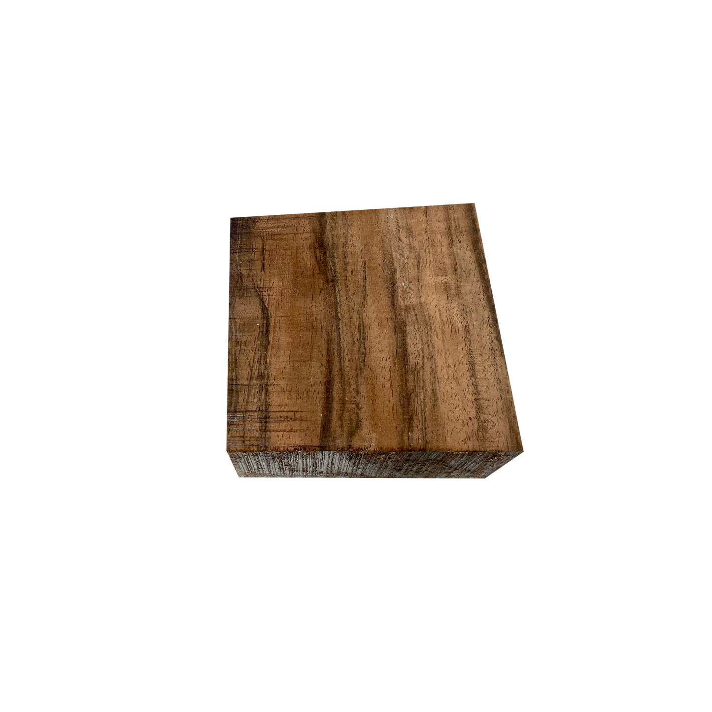Indian Laurel | Bowl Blanks