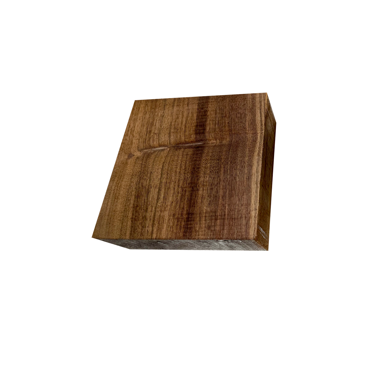 Indian Laurel | Bowl Blanks