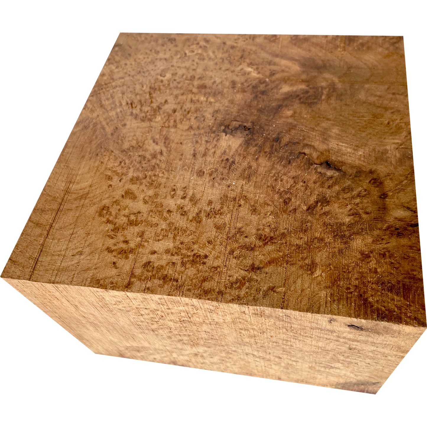 Burmese Teak Burl 4"x6"x6"