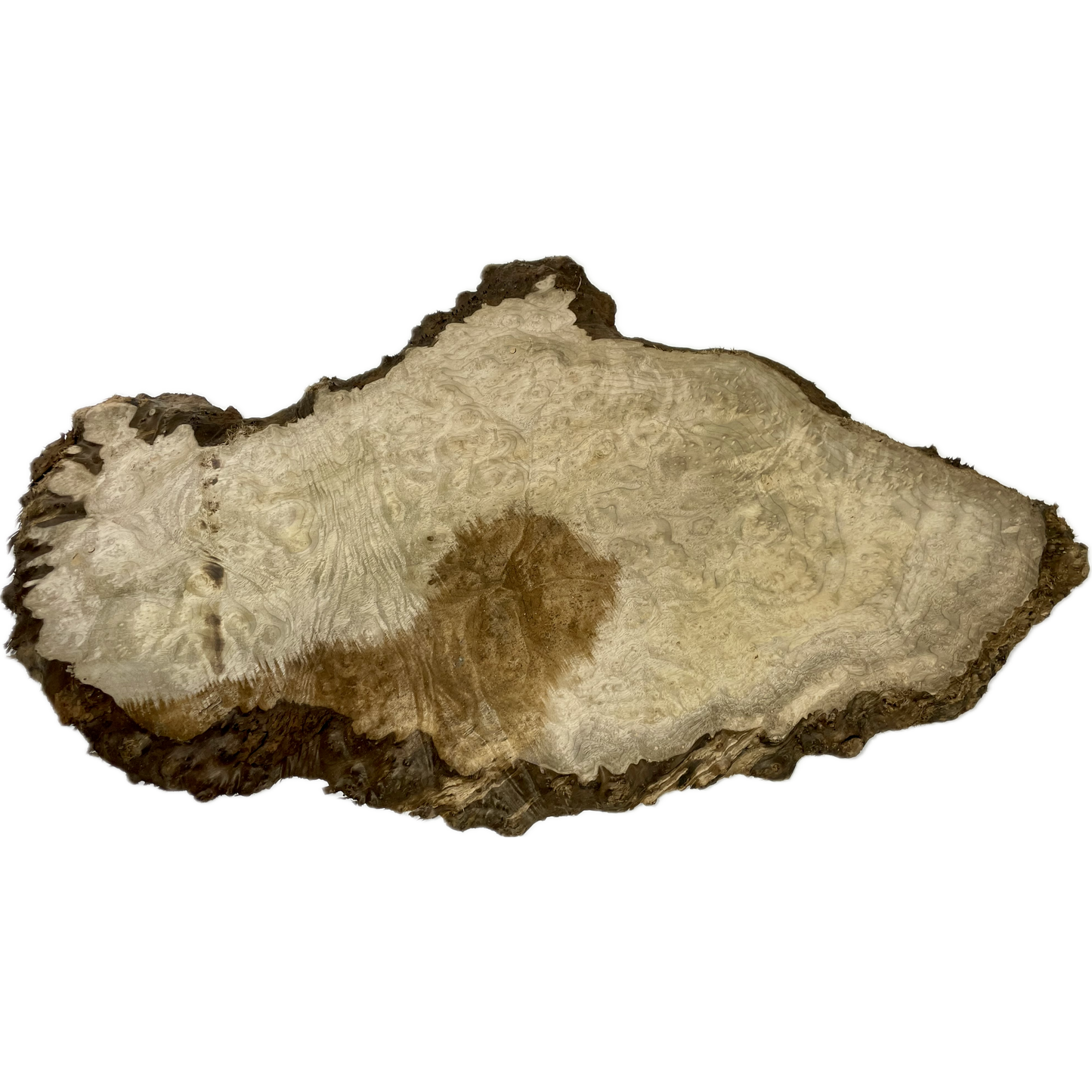 Myrtle, Burl Slab | 1-¼"x18"x32"(WYSIWYG)