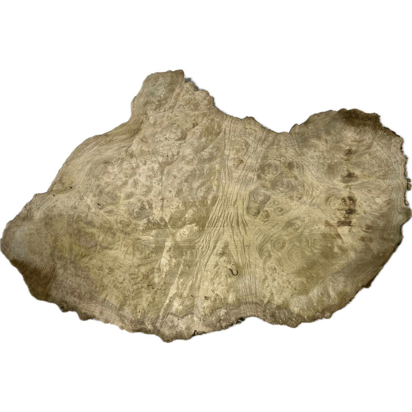 Myrtle, Burl Slab | 1-¼"x18"x32"(WYSIWYG)