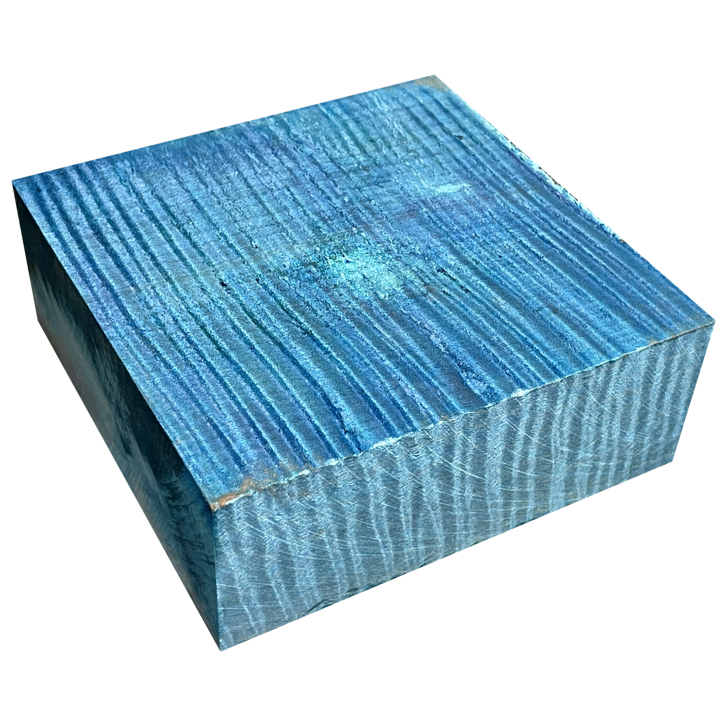Curly Maple | Stabilized & Dyed Turquoise