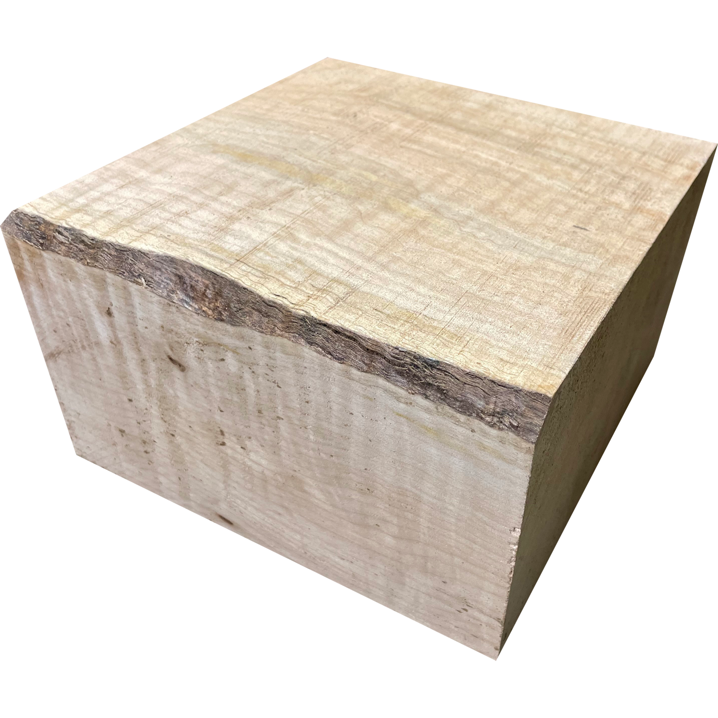 Curly Soft Maple | Bowl Blanks