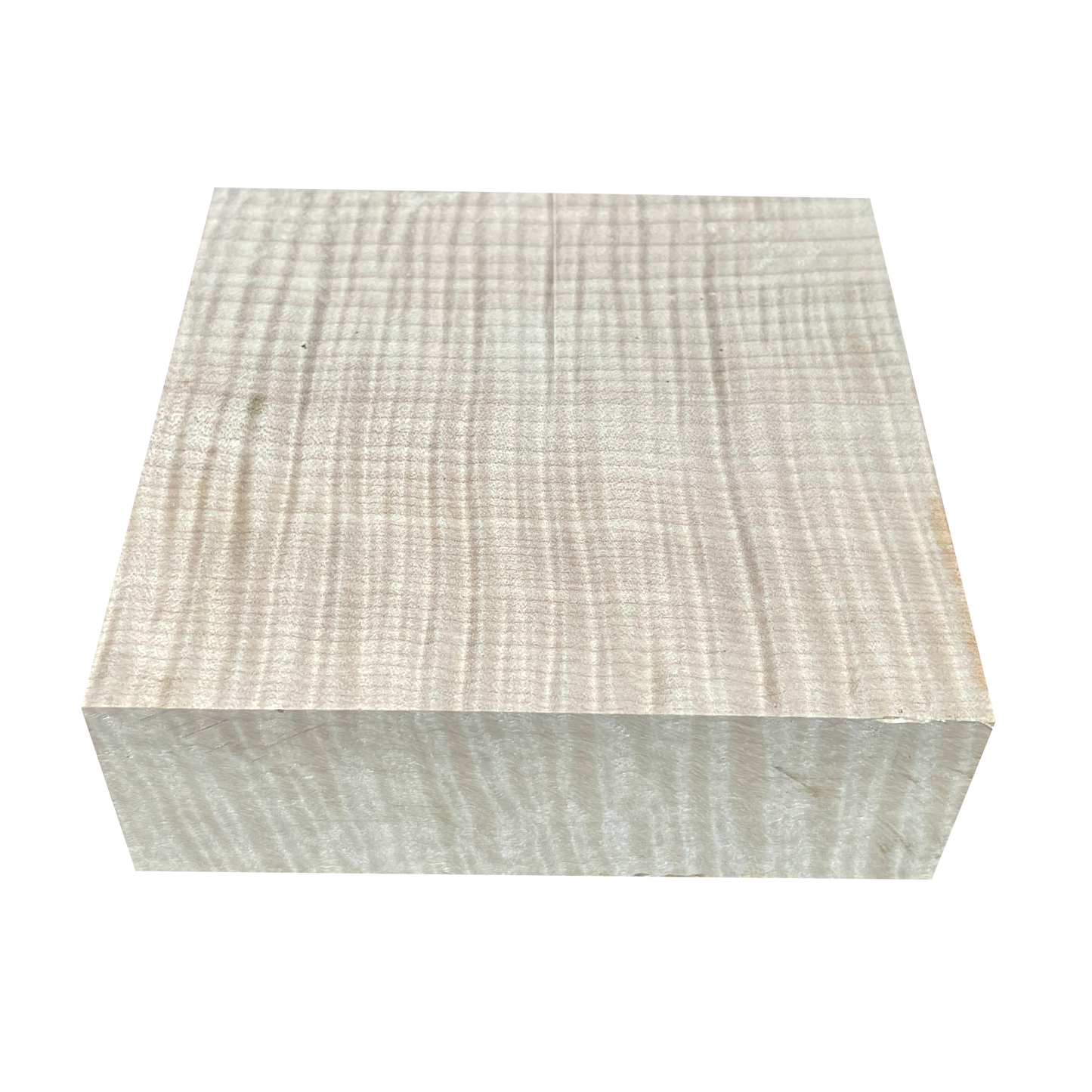 Curly Maple | Stabilized Clear
