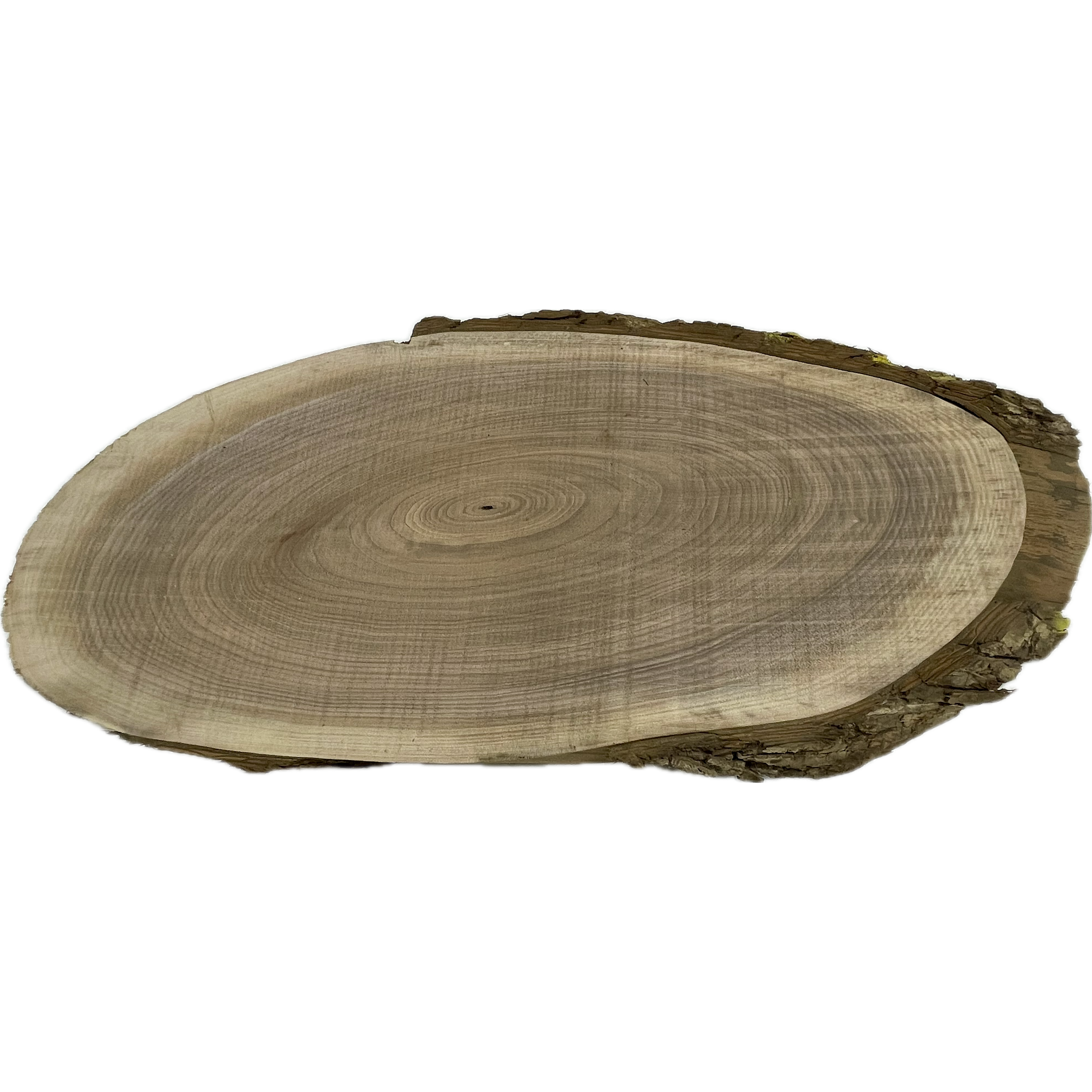 Walnut Slab | 1