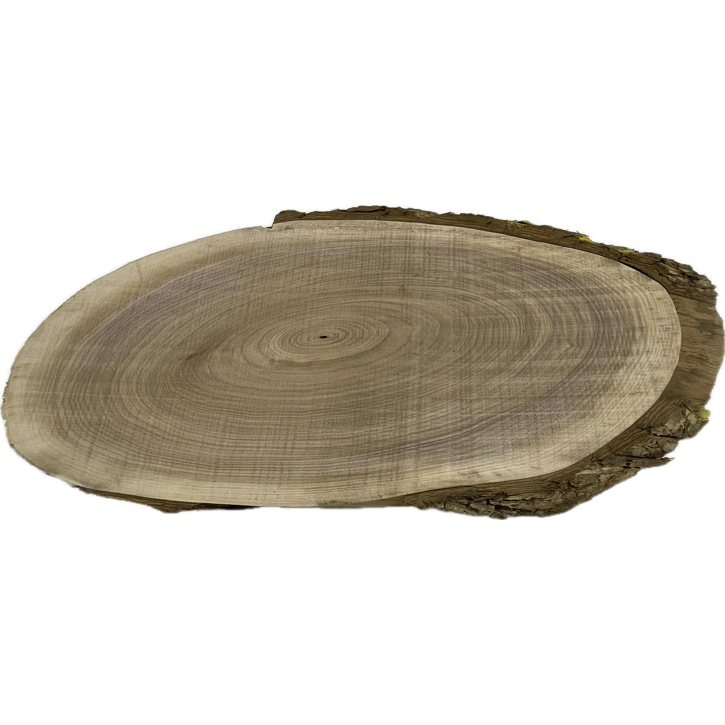 Walnut Slab | 1" x +/-10"W x +/-24"L