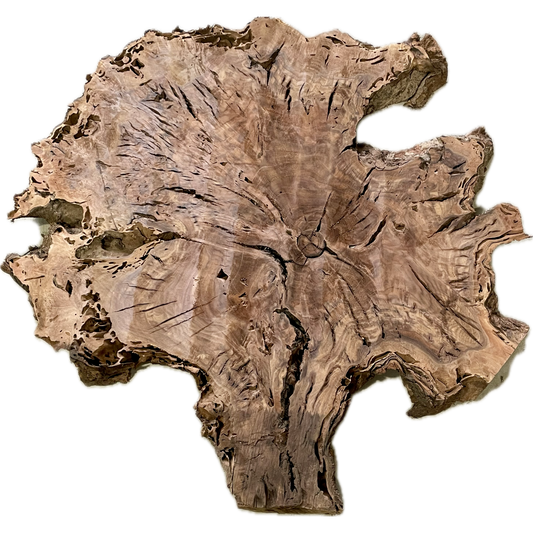 Claro Walnut Slab |  2" x 39" x 39"(WYSIWYG)