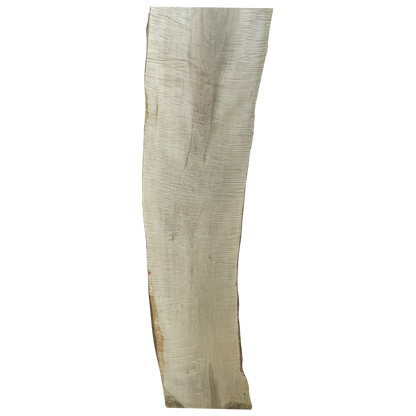 Curly Maple Slab 1-1/2"x16"x72"(WYSIWYG)