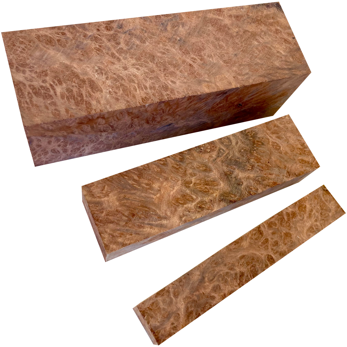 Redwood Burl - Stabilized