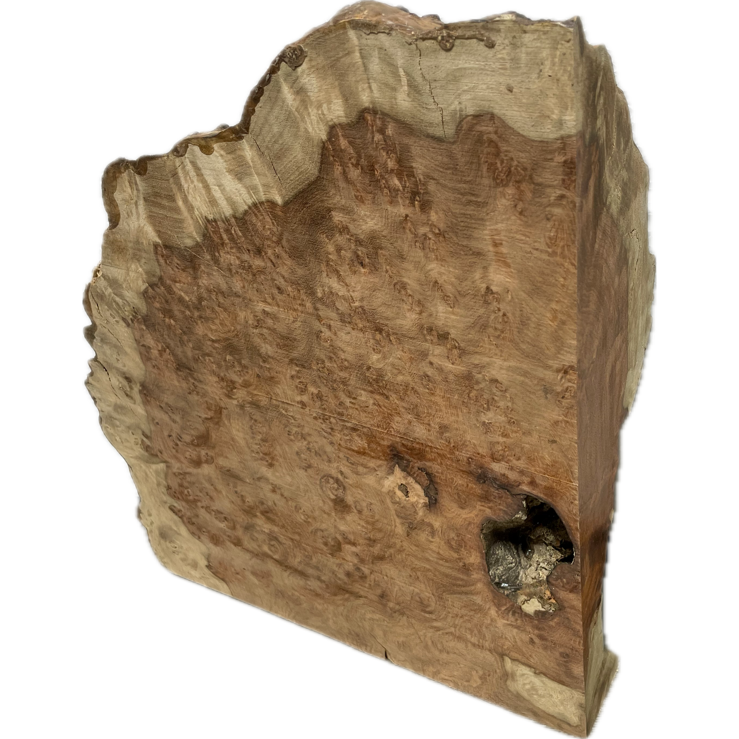 Amboyna Burl | 2" x 10" x 11"(WYSIWYG)