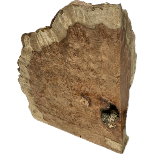 Amboyna Burl | 2" x 10" x 11"(WYSIWYG)
