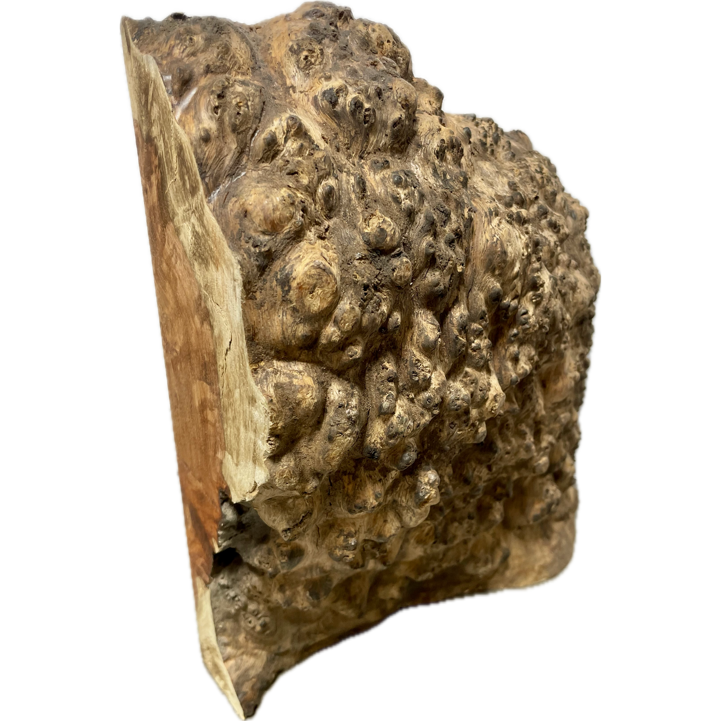Amboyna Burl | 2" x 10" x 11"(WYSIWYG)