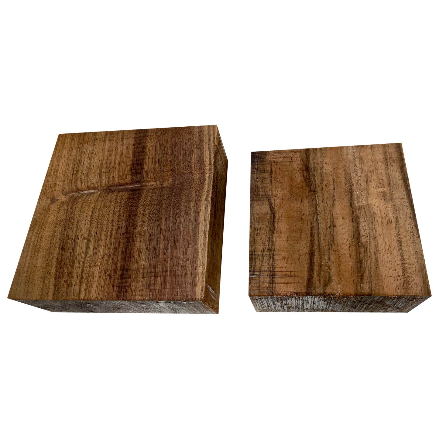 Indian Laurel - Bowl Blanks