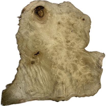 Myrtle, Burl Slab | 1-¼"x14"x17"(WYSIWYG)